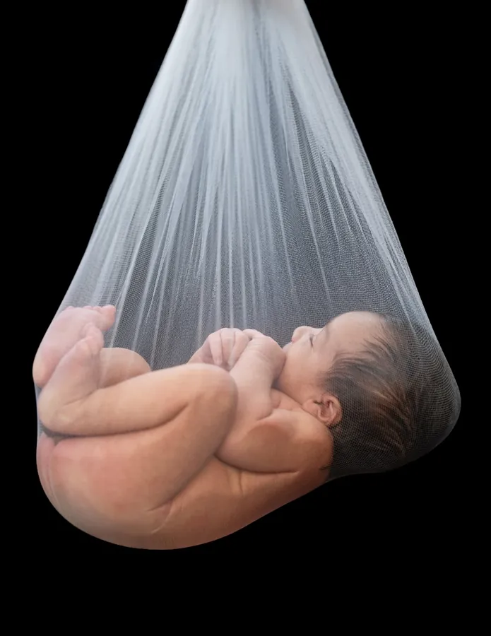 Sleeping newborn curled up in a white tulle hammock